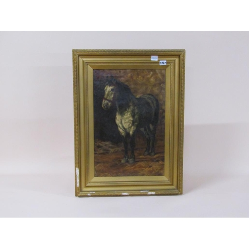 1247 - UNSIGNED - HORSE IN STABLE SETTING, OIL ON CANVAS, FRAMED, 52CM X 34CM