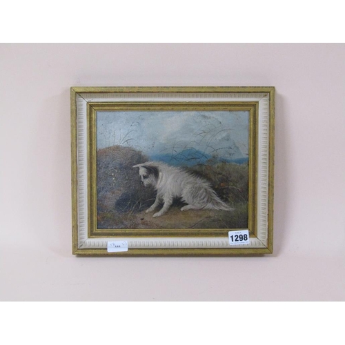 1298 - IN THE STYLE OF GEORGE ARMFIELD - TERRIER DOG AT RABBIT HOLE, OIL ON CANVAS, FRAMED, 18CM X 23CM