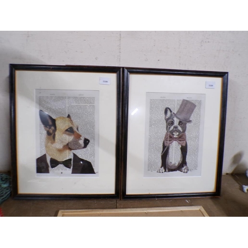 55 - COLLECTION OF FRAMED PRINTS - DOGS