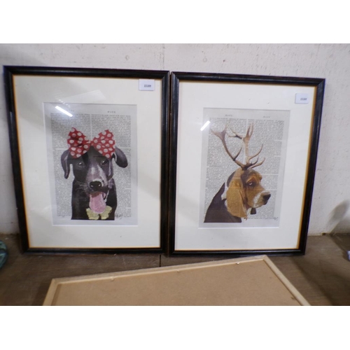 55 - COLLECTION OF FRAMED PRINTS - DOGS