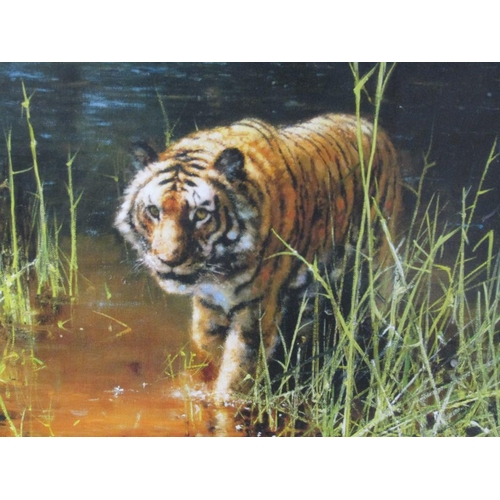 1252 - DAVID SHEPHERD - JUNGLE GENTLEMAN, COLOURED PRINT, SIGNED IN PENCIL, F/G, 50CM X 80CM