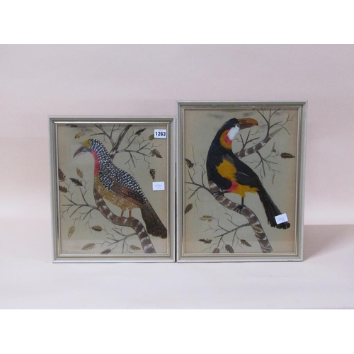 1263 - PAIR OF EARLY 20C FEATHER PICTURES OF BIRDS, 35CM X 28CM