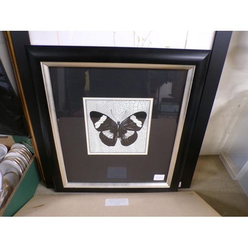 453 - QTY OF FRAMED PRINTS TO INCL BUTTERFLY