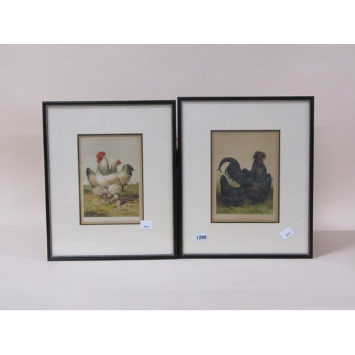 1200 - TWO F/G COLOURED PRINTS - CREVE OCEUR & GREY SHANGHAE - GAME COCKS