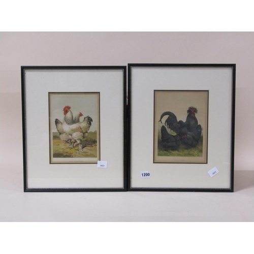 1200 - TWO F/G COLOURED PRINTS - CREVE OCEUR & GREY SHANGHAE - GAME COCKS