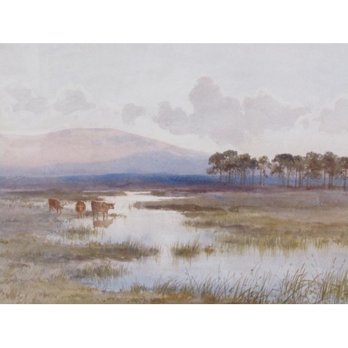 1214 - EDWARD TUCKER - MOORLAND LANDSCAPE WITH CATTLE, SIGNED WATERCOLOUR, F/G, 25CM X 37CM