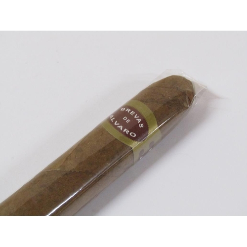 1684 - NINE BREVAS DE ALVARO CIGARS