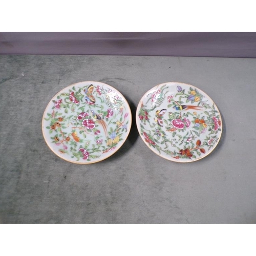 1901 - PAIR OF CANTONESE FAMILLE ROSE PLATES, 18.5CM DIAM