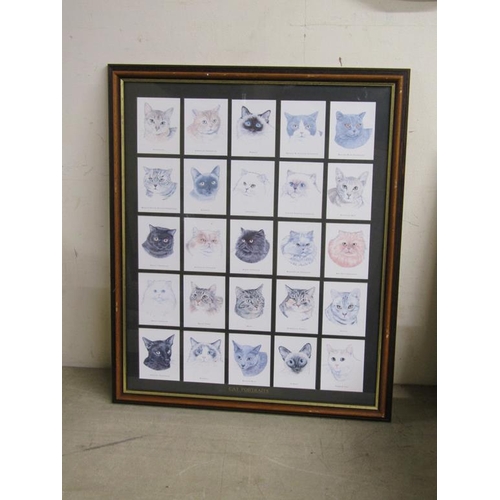 407 - FRAMED CIGARETTE CARDS