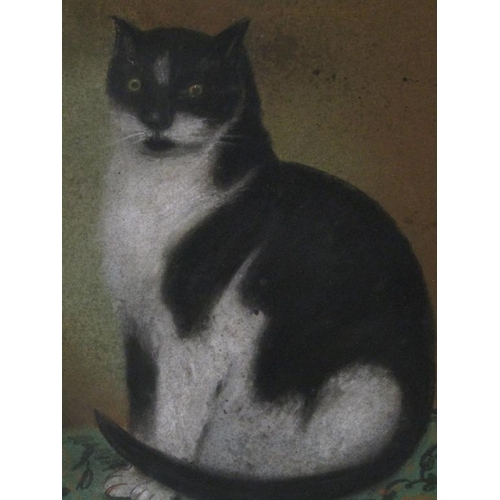 1236 - LATE 19C/EARLY 20C B&W CAT SEATED ON A CUSHION, UNSIGNED WATERCOLOUR, F/G, 36CM X 25CM