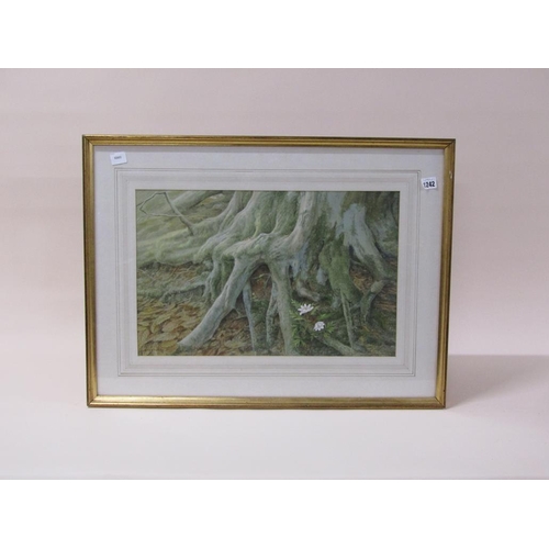 1242 - JOHN CHALKLEY - TREE ROOTS, SIGNED WATERCOLOUR, F/G, 34CM X 53CM