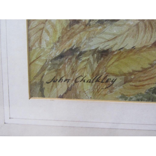 1242 - JOHN CHALKLEY - TREE ROOTS, SIGNED WATERCOLOUR, F/G, 34CM X 53CM