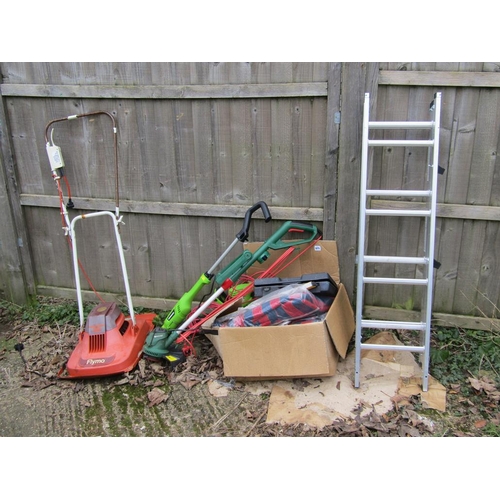 971 - COLLECTION OF GARDEN TOOLS ETC AND A LADDER