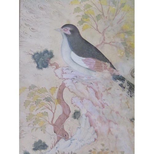 1206 - ORIENTAL PICTURE OF A BIRD, F/G, 31CM X 20CM