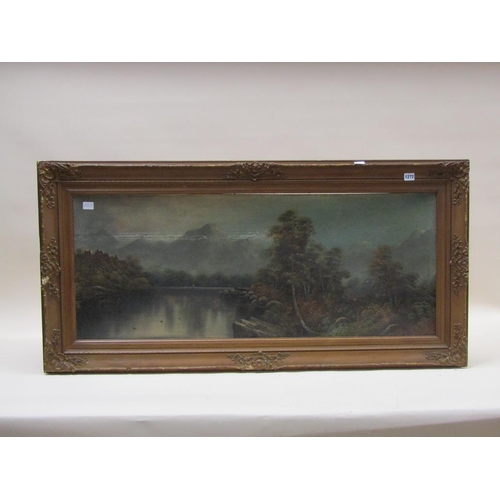 1272 - W COLLINS - EXTENSIVE MOUNTAINOUS LANDSCAPE WITH LAKE, OIL ON BOARD, FRAMED, 44CM X 110CM