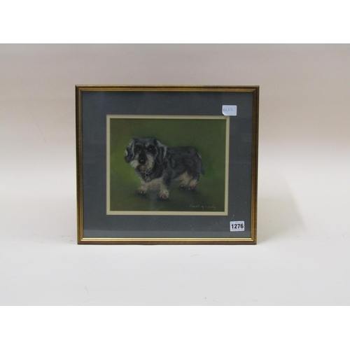 1276 - C FARLEY - THE DOG FINLEY, SIGNED WATERCOLOUR, F/G, 21CM X 25CM