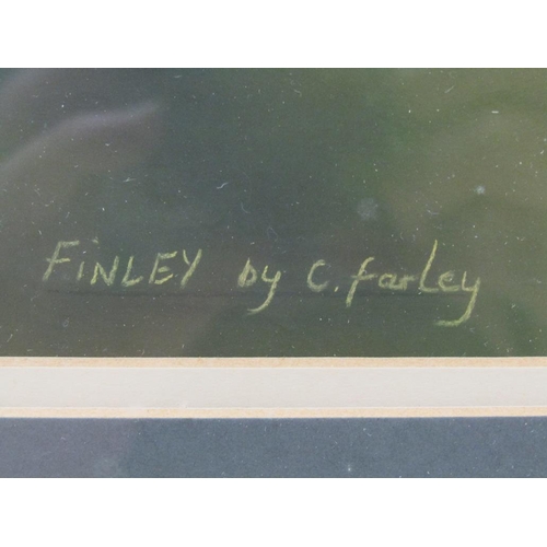 1276 - C FARLEY - THE DOG FINLEY, SIGNED WATERCOLOUR, F/G, 21CM X 25CM