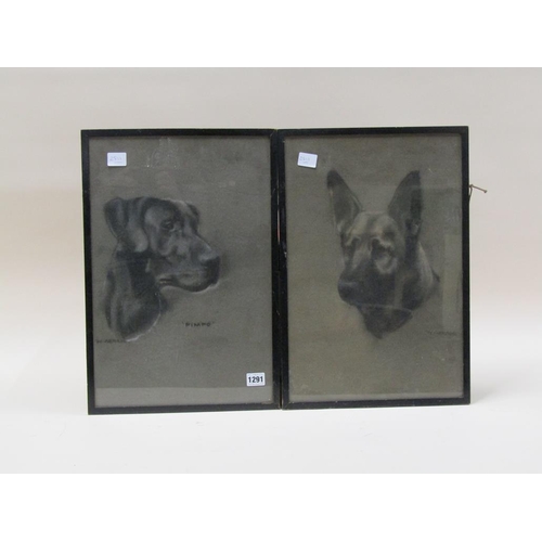 1291 - TWO BLACK ON WHITE MIXED MEDIA SKETCHES - DOGS, W ABRAM, EACH 45CM X 30CM
