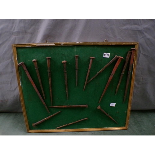 1329 - DISPLAY OF FIFTEEN FORGED IRON PINS