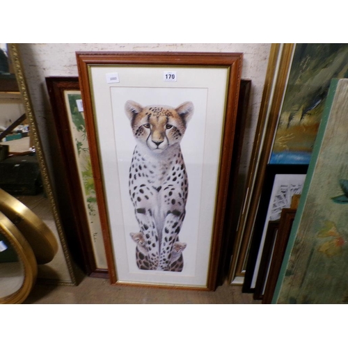 170 - COLLECTION OF ANIMAL PRINTS - BIRDS ETC