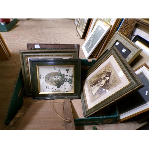 186 - FRAMED PHOTOGRAPHS, PORTRAITS