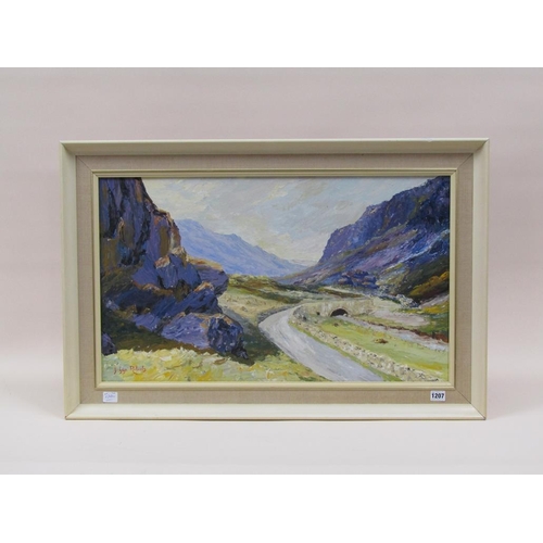 1207 - J GLYN ROBERTS - RIVER VALLEY WITH MOUNTAINS, SIGNED OIL ON BOARD, FRAMED, 45CM X 74CM