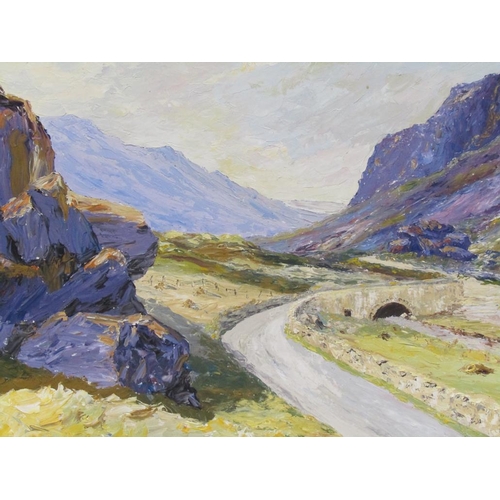 1207 - J GLYN ROBERTS - RIVER VALLEY WITH MOUNTAINS, SIGNED OIL ON BOARD, FRAMED, 45CM X 74CM