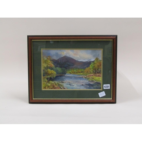 1231 - J HOOPER - ROCKY RIVER BED AMONGST THE MOUNTAINS, SIGNED WATERCOLOUR, F/G, 20CM X 29CM