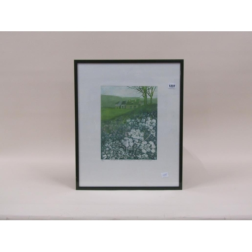 1237 - SUE KAVANAGH - CAMPION AND COW PARSLEY, LIMITED EDITION PRINT, SIGNED AND TITLED IN PENCIL, F/G, 33C... 