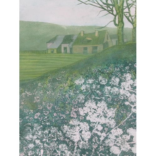 1237 - SUE KAVANAGH - CAMPION AND COW PARSLEY, LIMITED EDITION PRINT, SIGNED AND TITLED IN PENCIL, F/G, 33C... 