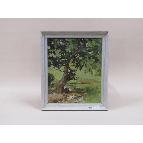 1239 - ANNE COTTERILL - ANCIENT TREE NEXT TO THE STREAM, SIGNED OIL ON BOARD, FRAMED, 45CM X 36CM