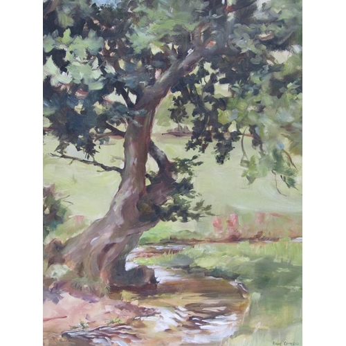 1239 - ANNE COTTERILL - ANCIENT TREE NEXT TO THE STREAM, SIGNED OIL ON BOARD, FRAMED, 45CM X 36CM