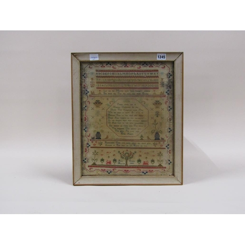 1245 - 19C NEEDLEWORK SAMPLER BY ANNE GREEN 1828, FRAMED, 41CM X 33CM