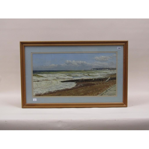 1269 - R.W WOOLLEY 1979 - NEW HAVEN MOUTH FROM SEAFORD, SIGNED AND TITLED OIL, F/G, 38CM X 72CM