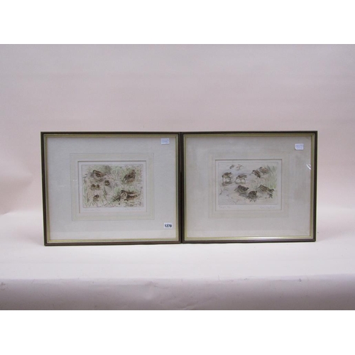 1278 - TWO LIMITED EDITION PRINTS - WOODCOCK & SNIPE, BY PETER PARTINGTON, SIGNED IN PENCIL, F/G, 21CM X 24... 