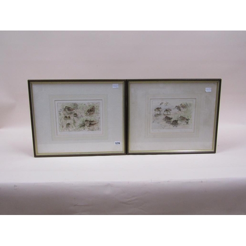 1278 - TWO LIMITED EDITION PRINTS - WOODCOCK & SNIPE, BY PETER PARTINGTON, SIGNED IN PENCIL, F/G, 21CM X 24... 