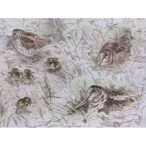 1278 - TWO LIMITED EDITION PRINTS - WOODCOCK & SNIPE, BY PETER PARTINGTON, SIGNED IN PENCIL, F/G, 21CM X 24... 