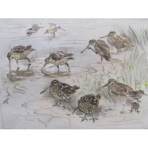 1278 - TWO LIMITED EDITION PRINTS - WOODCOCK & SNIPE, BY PETER PARTINGTON, SIGNED IN PENCIL, F/G, 21CM X 24... 