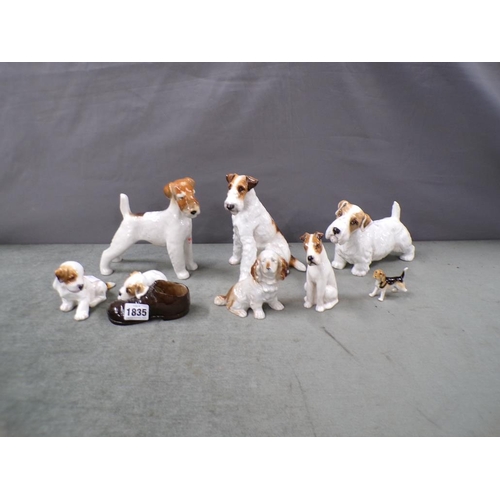 1835 - COLLECTION OF PORCELAIN DOGS TO INCL PARAGON - LARGEST 18CM H