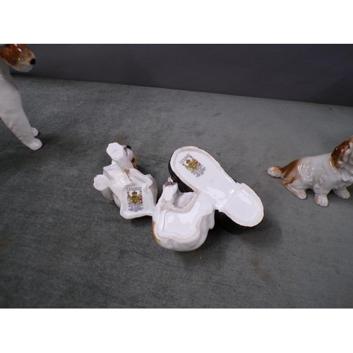 1835 - COLLECTION OF PORCELAIN DOGS TO INCL PARAGON - LARGEST 18CM H