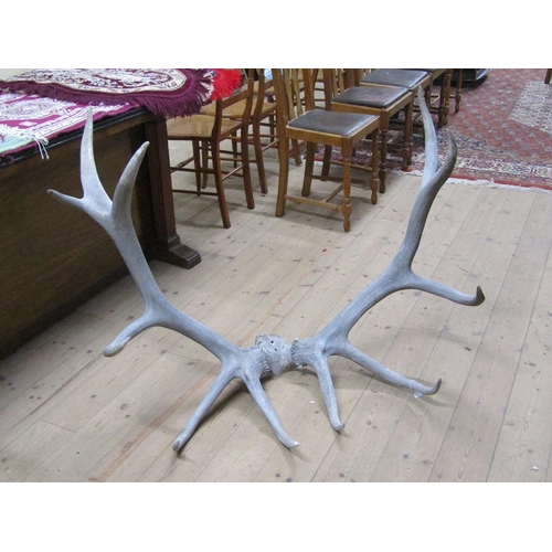 1327A - PAIR OF LARGE ANTLERS, 105CM W, 93CM H