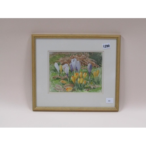 1290 - JOY BRAND - CROCUS, SIGNED WATERCOLOUR, F/G, 16CM X 22CM