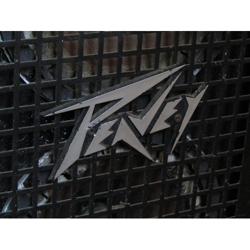 502 - PEAVEY CL2 CLUSTER PRECISION TRANSDUCER SPEAKER