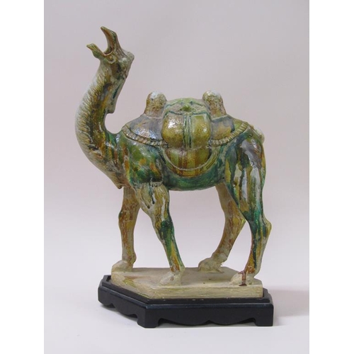 171 - A decorative Chinese Tang style camel, three colour (Sancai) with a custom made stand, 38cm h.