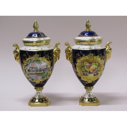 215 - A pair of Coalport urns and covers, cobalt blue ground with gilding, rams head handles, hand painted... 