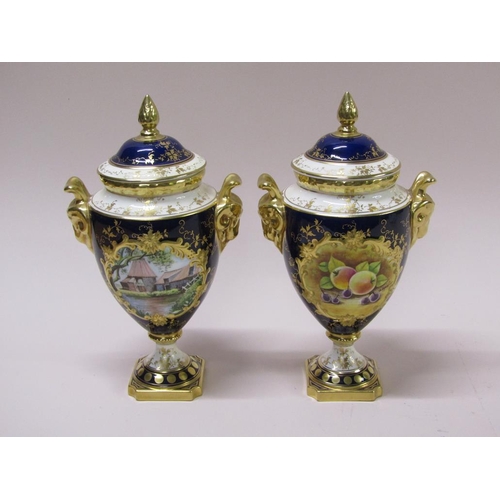 215 - A pair of Coalport urns and covers, cobalt blue ground with gilding, rams head handles, hand painted... 