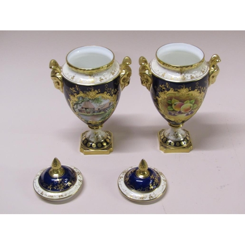 215 - A pair of Coalport urns and covers, cobalt blue ground with gilding, rams head handles, hand painted... 