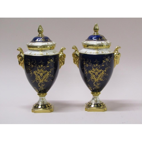 215 - A pair of Coalport urns and covers, cobalt blue ground with gilding, rams head handles, hand painted... 