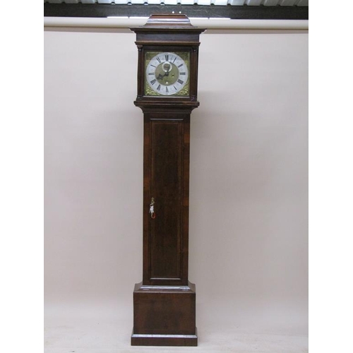 31 - An early 18c eight day longcase clock, the 31cm sq. brass dial signed William Pain London and having... 