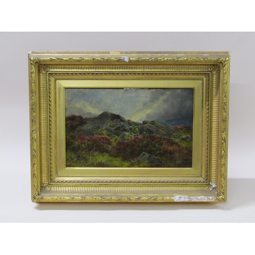 252 - James Faed Jnr. 1902 - Heather amongst a rocky outcrop . signed and dated, oil on board, framed, 25c... 